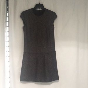 Theory dress